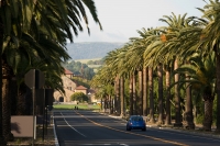 Stanford University, which influenced his thinking on economics